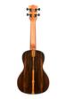 KALA KA-ZCT-C Ziricote Concert Ukulele - Harbor Music