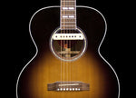 L.R. Baggs M1 Active Acoustic Guitar Soundhold Pickup - Harbor Music