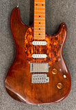 Godin Session T-Pro - Kanyon Burst with Godin Gig Bag