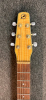 Seagull 20 Anniversaire Spruce acoustic guitar