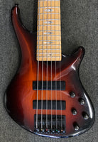 Roscoe SKB-3006 6 String Bass (1990)